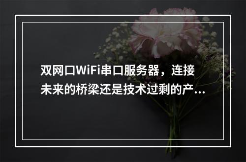 双网口WiFi串口服务器,连接未来的桥梁还是技术过剩的产物?
