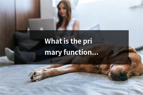 What is the primary function of a server?