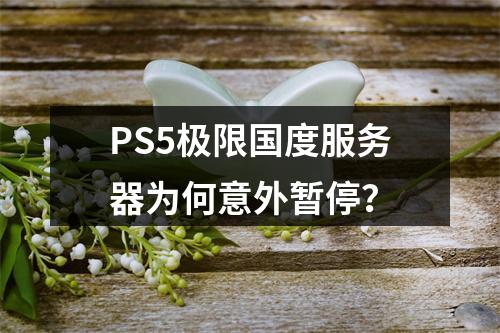 PS5极限国度服务器为何意外暂停?