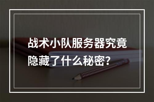 战术小队服务器究竟隐藏了什么秘密?