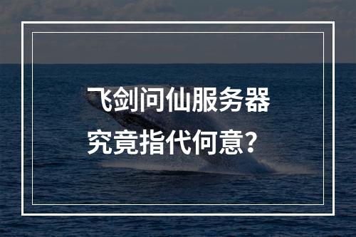 飞剑问仙服务器究竟指代何意?
