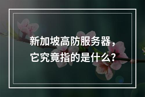 新加坡高防服务器,它究竟指的是什么?