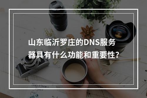 山东临沂罗庄的DNS服务器具有什么功能和重要性?