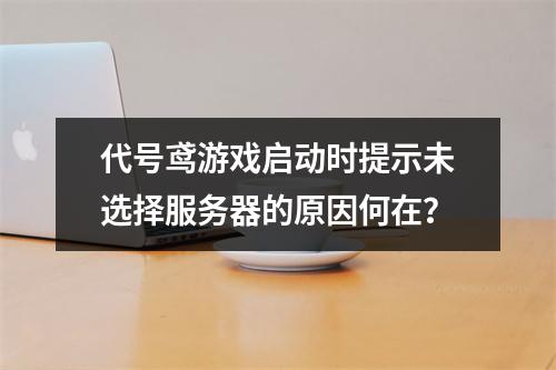 代号鸢游戏启动时提示未选择服务器的原因何在?