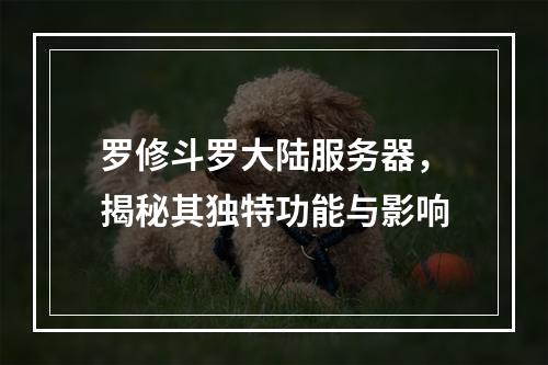 罗修斗罗大陆服务器,揭秘其独特功能与影响