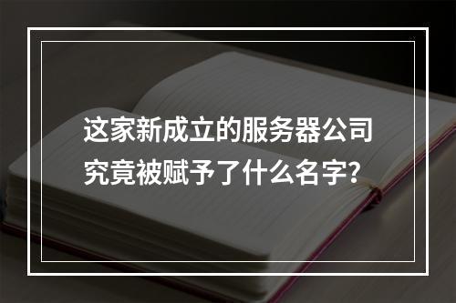 这家新成立的服务器公司究竟被赋予了什么名字?