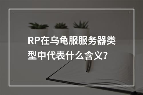 RP在乌龟服服务器类型中代表什么含义?