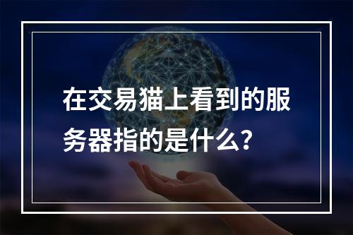 在交易猫上看到的服务器指的是什么?