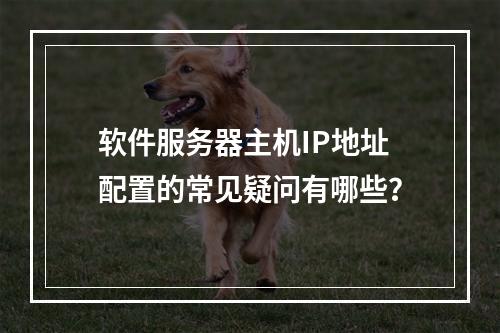 软件服务器主机IP地址配置的常见疑问有哪些?