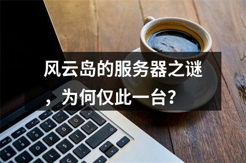 风云岛的服务器之谜,为何仅此一台?