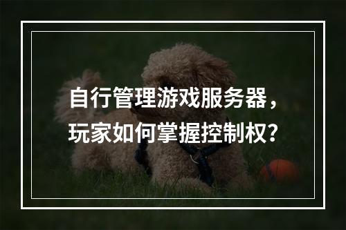 自行管理游戏服务器,玩家如何掌握控制权?