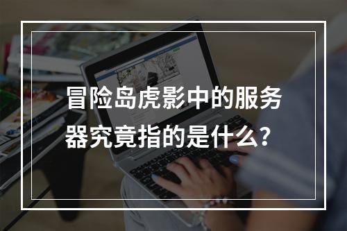 冒险岛虎影中的服务器究竟指的是什么?