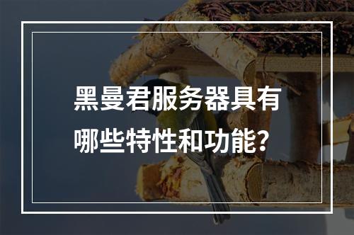 黑曼君服务器具有哪些特性和功能?