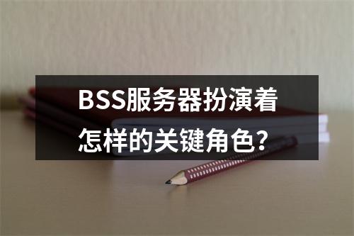 BSS服务器扮演着怎样的关键角色?