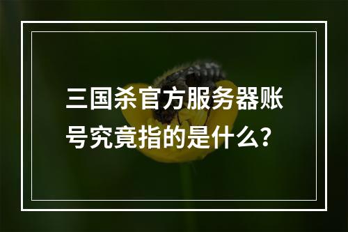 三国杀官方服务器账号究竟指的是什么?