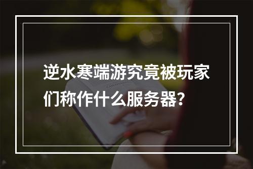 逆水寒端游究竟被玩家们称作什么服务器?
