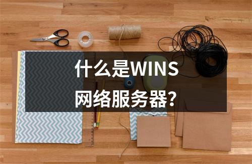 什么是WINS网络服务器?