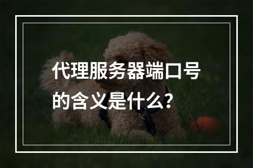 代理服务器端口号的含义是什么?