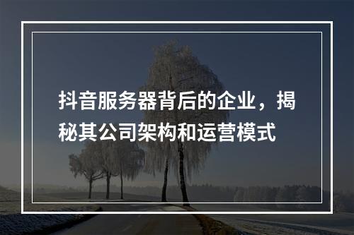 抖音服务器背后的企业,揭秘其公司架构和运营模式