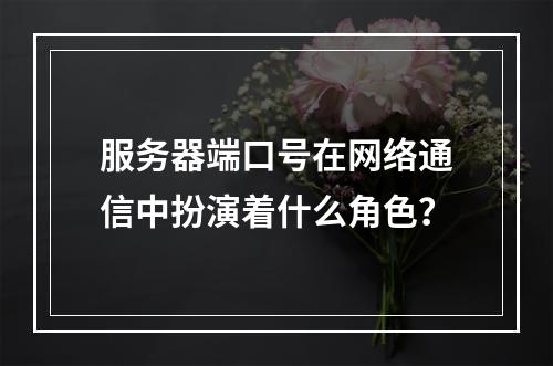 服务器端口号在网络通信中扮演着什么角色?