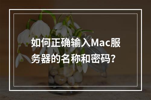 如何正确输入Mac服务器的名称和密码?