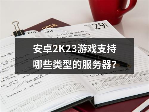 安卓2K23游戏支持哪些类型的服务器?