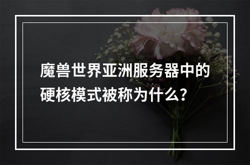 魔兽世界亚洲服务器中的硬核模式被称为什么?
