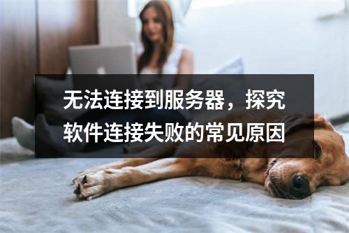 无法连接到服务器,探究软件连接失败的常见原因