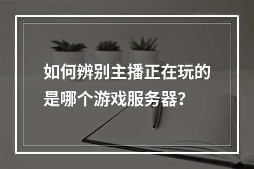 如何辨别主播正在玩的是哪个游戏服务器?