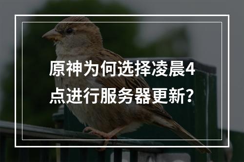 原神为何选择凌晨4点进行服务器更新?