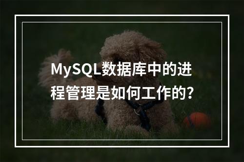 MySQL数据库中的进程管理是如何工作的?