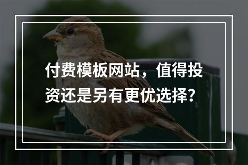 付费模板网站,值得投资还是另有更优选择?