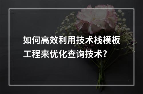 如何高效利用技术栈模板工程来优化查询技术?