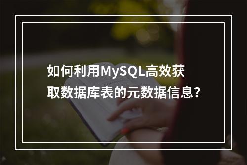 如何利用MySQL高效获取数据库表的元数据信息?