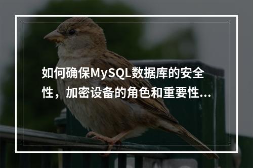 如何确保MySQL数据库的安全性,加密设备的角色和重要性是什么?