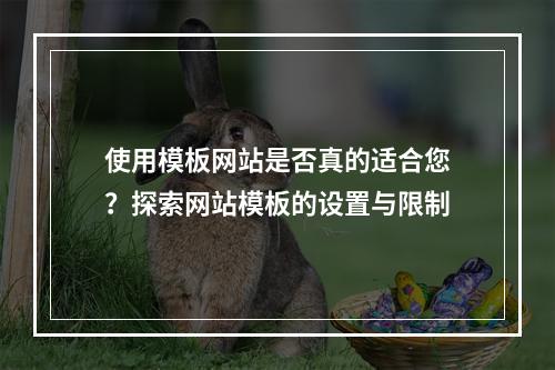 使用模板网站是否真的适合您?探索网站模板的设置与限制