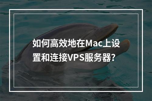 如何高效地在Mac上设置和连接VPS服务器?