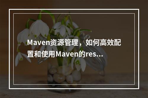 Maven资源管理,如何高效配置和使用Maven的resources功能?