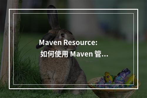 Maven Resource: 如何使用 Maven 管理项目资源?
