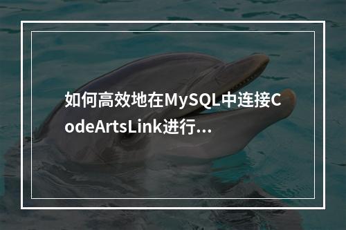 如何高效地在MySQL中连接CodeArtsLink进行数据库联接操作?