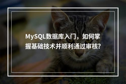 MySQL数据库入门,如何掌握基础技术并顺利通过审核?