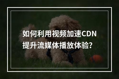 如何利用视频加速CDN提升流媒体播放体验?