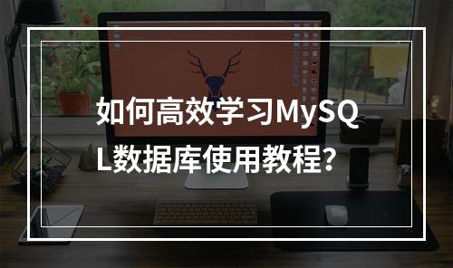 如何高效学习MySQL数据库使用教程?