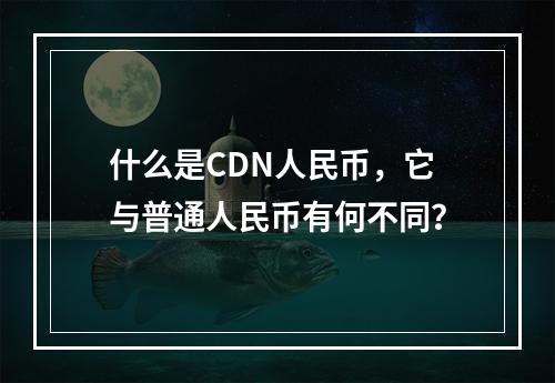 什么是CDN人民币,它与普通人民币有何不同?