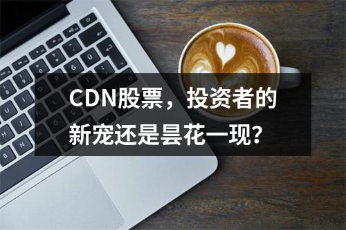 CDN股票,投资者的新宠还是昙花一现?