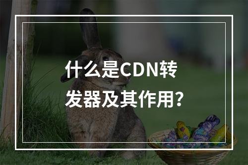 什么是CDN转发器及其作用?