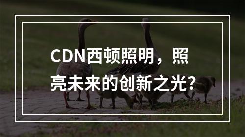 CDN西顿照明,照亮未来的创新之光?
