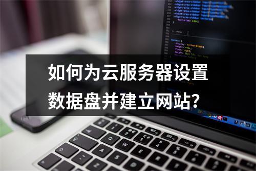 如何为云服务器设置数据盘并建立网站?