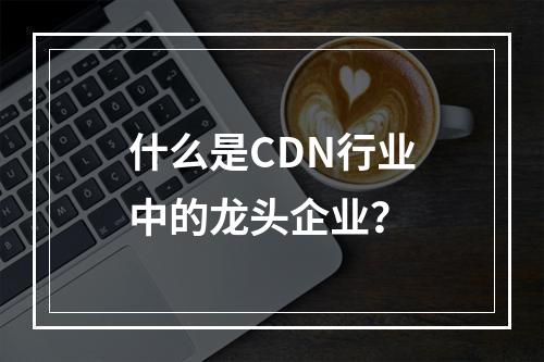 什么是CDN行业中的龙头企业?