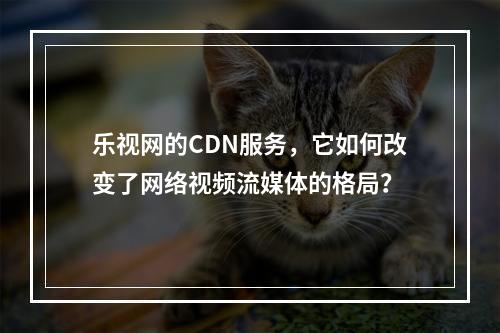 乐视网的CDN服务,它如何改变了网络视频流媒体的格局?